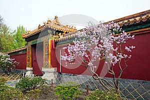 traditional wall and door building with garden