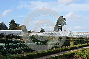 Traditional walled garden