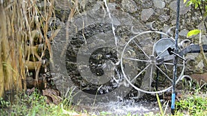 Traditional Waterwheel