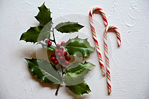 Tradition Christmas December festive scene with striped candy canes and holly