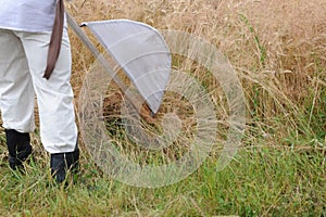 Traditional wheat harvesting ceremony in eastern Poland Lesniowice, village Lublin voivodship in old clothes with scythe in summ