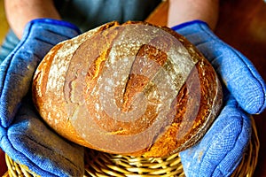 Traditional wheat and rye bread in hands