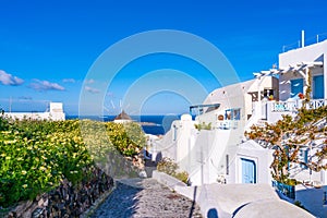 Traditional whitewashed houses in Oia, Santorini