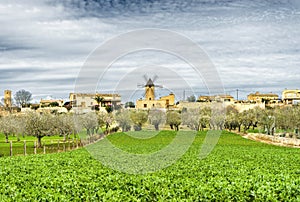 traditional windmill in Mallorca, Balearic Islands