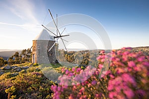 Traditional windmills in Central Portugal. Sunset in Coimbra, Portugal. Beautiful sunny day.