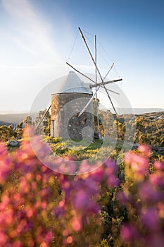 Traditional windmills in Central Portugal. Sunset in Coimbra, Portugal. Beautiful sunny day.