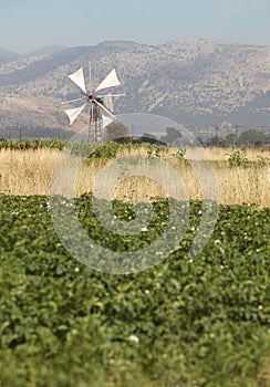 Traditional windmills in Lasithi plateau. Crete. Greece