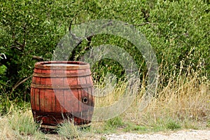 Traditional wine barrel photo