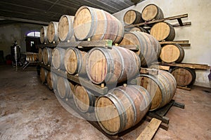 Traditional Wine cellar