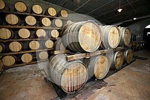 Traditional Wine cellar