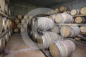 Traditional Wine cellar