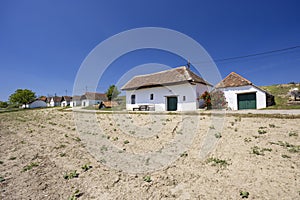 Traditional wine cellars street in Diepolz near Mailberg, Lower Austria, Austria photo