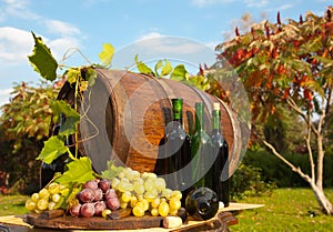 Traditional wine making