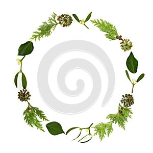 Traditional Winter Christmas Flora Wreath