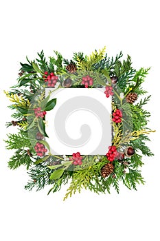 Traditional Winter Solstice Flora Background Composition