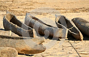 Traditional wooden fishing pirogues photo