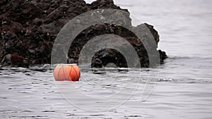 Traditional Women-Divers at Jeju Island, also Called as Haenyeo, Gathering Shell-fish in the Sea