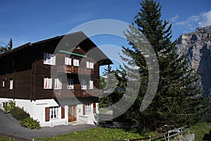 Traditional wooden alpine cabin