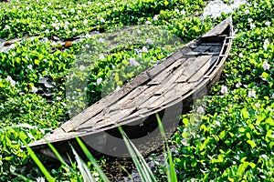 Traditional wooden boat parked in the bank of pond water.