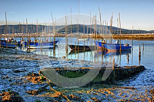 Traditional wooden boats in Lima river