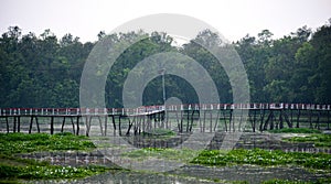 Traditional wooden bridge on a lake unique photo