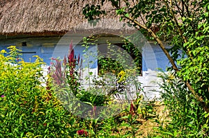 Traditional wooden cottage