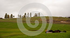 Traditional wooden cottage mountain houses in the green field in the dolomites. Housing in Italian apls. Alpine region