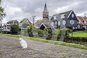 Traditional wooden fishing houses, canal and cat, Marken, Netherlands