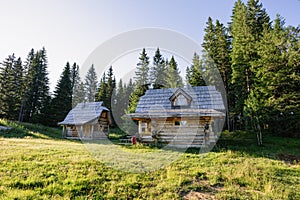 Traditional Wooden house in the forest