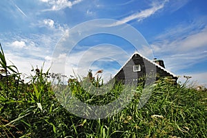 A traditional wooden house in Holland within green grass on a blue sky.