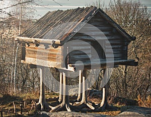 A traditional wooden log cabin on stilts in the forest