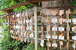 Traditional wooden prayer tablet Ema at Kashima Shrine Kashima jingu Shrine in Kashima, Ibaraki Prefecture, Japan