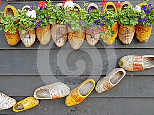 Traditional wooden shoes decorated with flowers in Netherlan