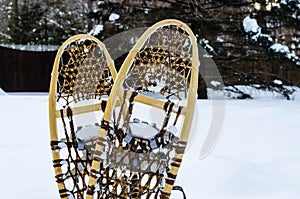 Traditional wooden snowshoes in the snow photo