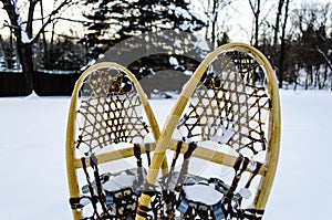 Traditional wooden snowshoes in the snow photo