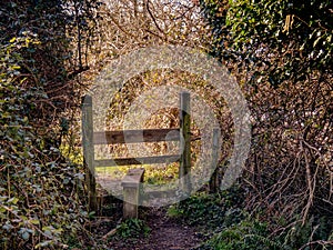 Traditional wooden Stile in Devon country lane.