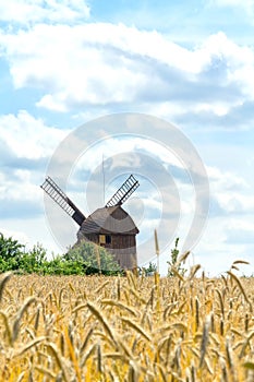 Traditional wooden windmill seen through a rye field. Selective focus. Blue sky and white clouds. Rural summer landscape.