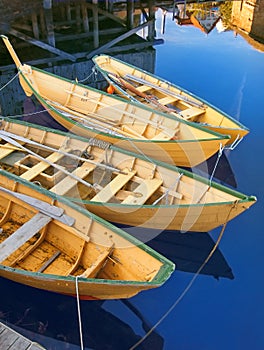 Traditional yellow Nova Scotia fishing boats