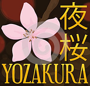 Traditional Yozakura Night with Cherry Flower, Lanterns and Glows, Vector Illustration