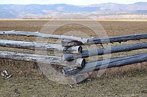 Traditional zigzag fence protecting a pasture in Buryatia. Tunkinskaya valley