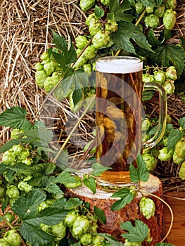 Traditionally brewed light beer. Rustic arrangement with hops and straw.