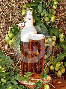 Traditionally brewed light beer. Rustic arrangement with hops and straw.