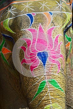 Traditionally decorated elephant head near Amber fort in Jaipur, Rajasthan, India.