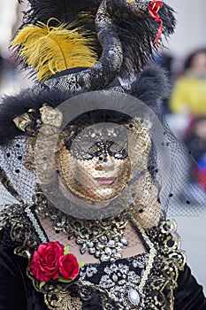 Traditionally dressed Venice carnival person