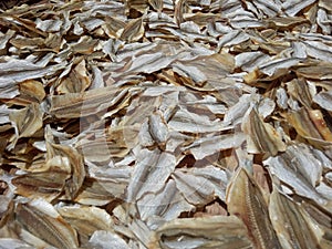 Traditionally dried chicken feather type fish

ï¿¼