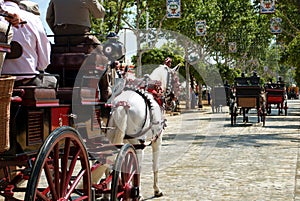 The beautiful feria de Abril in Seville photo