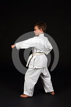 Traditonal karate left stance