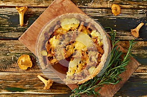 Traditonal swedish cheese and mushroom pie - quiche on the rustic kitchen background decorated with rosemary