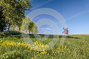 Traebene Mill Windmill with green fields
