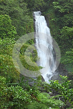 Trafalgar Falls in Dominica ,Caribbean Islands photo